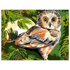 Color Kit Картина по номерам "Лесная история" 30х40 см (CE135)