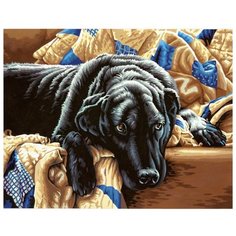 Dimensions Картина по номерам "Запретный плод" 28х36 см (DMS-73-91469)