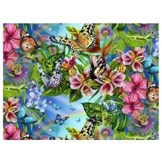 Color Kit Картина по номерам "Бабочки" 30х40 см (KS019)