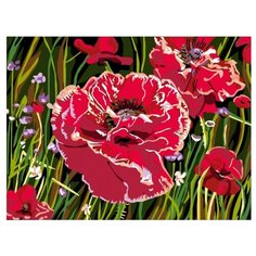 Color Kit Картина по номерам "Маков цвет" 30х40 см (CE142)