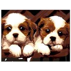 Color Kit Картина по номерам "Щенки" 30х40 см (CE087)