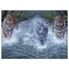 Royal & Langnickel Картина по номерам "Три тигра" 28,5x39 см (PJL34)