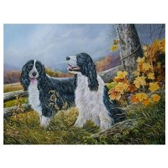 Color Kit Картина по номерам "Два спаниеля" 30х40 см (KS018)