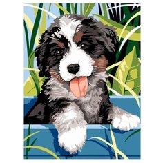 Color Kit Картина по номерам "Пушистое чудо" 30х40 см (CE127)