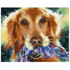 Color Kit Картина по номерам "Пес" 30х40 см (KS044)