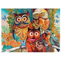 Color Kit Картина по номерам "Совушки" 30х40 см (KS046)