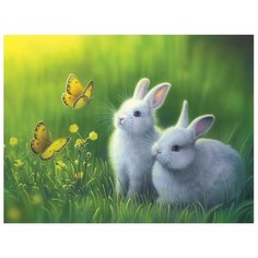 Color Kit Картина по номерам "На зеленом лугу" 30х40 см (CE206)