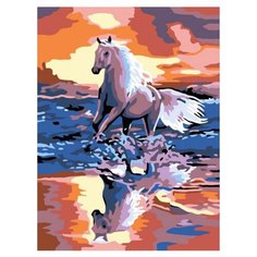 Белоснежка Картина по номерам "Стремительный бег" 30х40 см (021-CE)