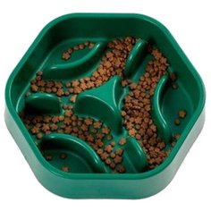 Миска Pidan Slow Feeder для животных с излишним аппетитом зелeный