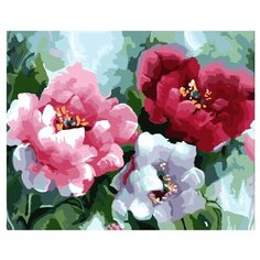 Paintboy Картина по номерам "Цветные маки" 40х50 см (GX6176)