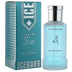 Туалетная вода Парфюмерия XXI века IceBurg Ice, 85 мл