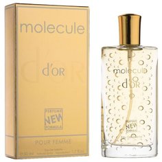 Туалетная вода Парфюмерия XXI века Molecule Dor, 50 мл