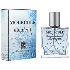 Туалетная вода Парфюмерия XXI века Molecule Element, 100 мл