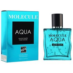Туалетная вода Парфюмерия XXI века Molecule Aqua pour homme, 100 мл