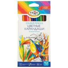 ГАММА Карандаши цветные Классические 12 цветов (050918_02) Gamma