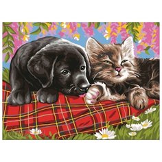 Color Kit Картина по номерам "Сладкие мечты" 30х40 см (CE132)