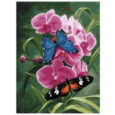 Color Kit Картина по номерам "Летние сны" 30х40 см (CE144)