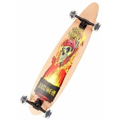 Лонгборд Action PW-507 мультиколор Action!