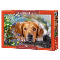 Пазл Castorland Golden Innocence (B-52622), 500 дет.