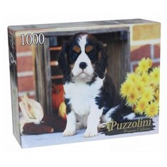 Пазл Рыжий кот Puzzolini Спаниель и цветы (GIPZ1000-7705), 1000 дет.