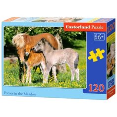 Пазл Castorland Ponies in the Meadow (В-12619), 120 дет.