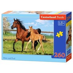 Пазл Castorland Mare and Foal (B-27064), 260 дет.