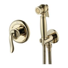 Смеситель для биде Lemark Brava LM4719G однорычажный встраиваемый лейка в комплекте золото