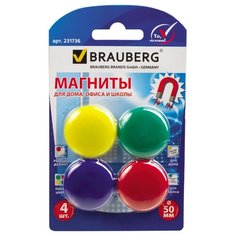 Магниты для доски BRAUBERG 231736 в ассортименте