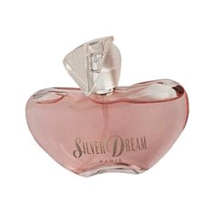 Туалетная вода Guy Alari Silver Dream, 100 мл