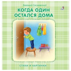 Сосновский Е. "Когда один остался дома" Робинс