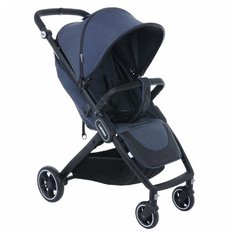 Прогулочная коляска Pituso Lizard jeans