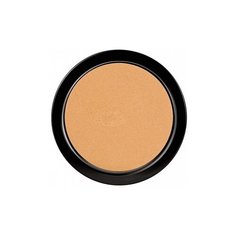 PAESE Пудра компактная Illuminating Covering Powder 3С