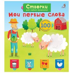 Открой тайны для самых маленьких. Мои первые слова Робинс