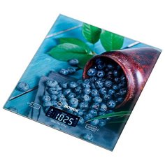Кухонные весы Hottek HT-962-030 синий/зеленый/коричневый