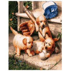 Color Kit Картина по номерам "Бейсболисты" 40х50 см (CG965)