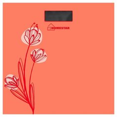 Весы HOMESTAR HS-6001A