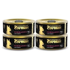 Корм для кошек Четвероногий Гурман Golden Line с говядиной 4шт. х 100 г (кусочки в желе)