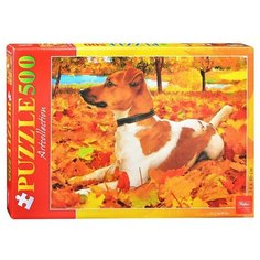 Пазл Hatber Art Collection Милый щенок (500ПЗ2_05284), 500 дет.