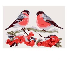 Molly Картина по номерам "Снегири" 20х30 см (CX3458)