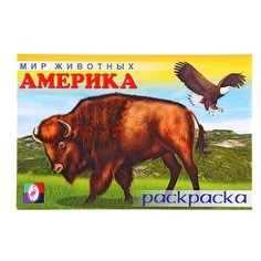 Фламинго Раскраска. Мир животных. Америка Flamingo