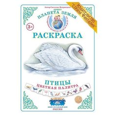 Страна Фантазий Раскраска. Цветная палитра. Птицы