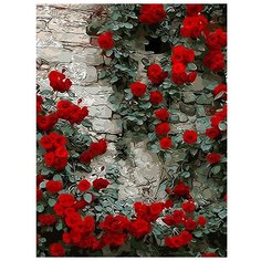 Color Kit Картина по номерам "Дикая роза" 50х40 см (CG424)