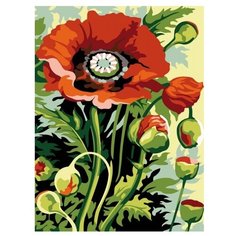 Color Kit Картина по номерам "Полевой букет" 30х40 см (CE143)