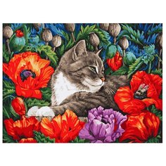 Белоснежка Картина по номерам "Кот в маках" 30х40 см (183-AS)
