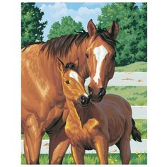 Dimensions Картина по номерам "Мамина гордость" 28х36 см (DMS-91100)