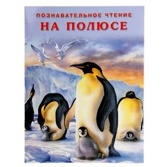 Гурина И. "Познавательное чтение. На полюсе" Flamingo