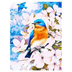 Color Kit Картина по номерам "Полет весны" 30х40 см (KS027)