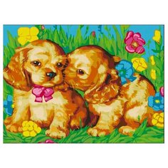 Color Kit Картина по номерам "Щенки на поляне" 30х40 см (CE010)