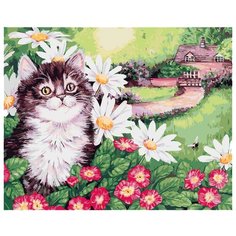 Белоснежка Картина по номерам "Пушистик" 30х40 см (308-AS)