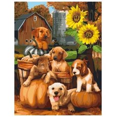 Color Kit Картина по номерам "Богатый урожай" 40х50 см (CG831)